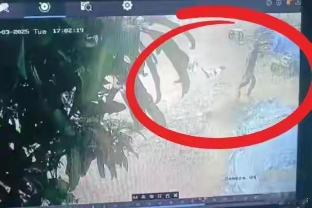 近日，印度泰米尔纳德邦拉尼佩特县卡迪雅瓦迪村一名80岁老妇，遭19岁少年性侵后拖