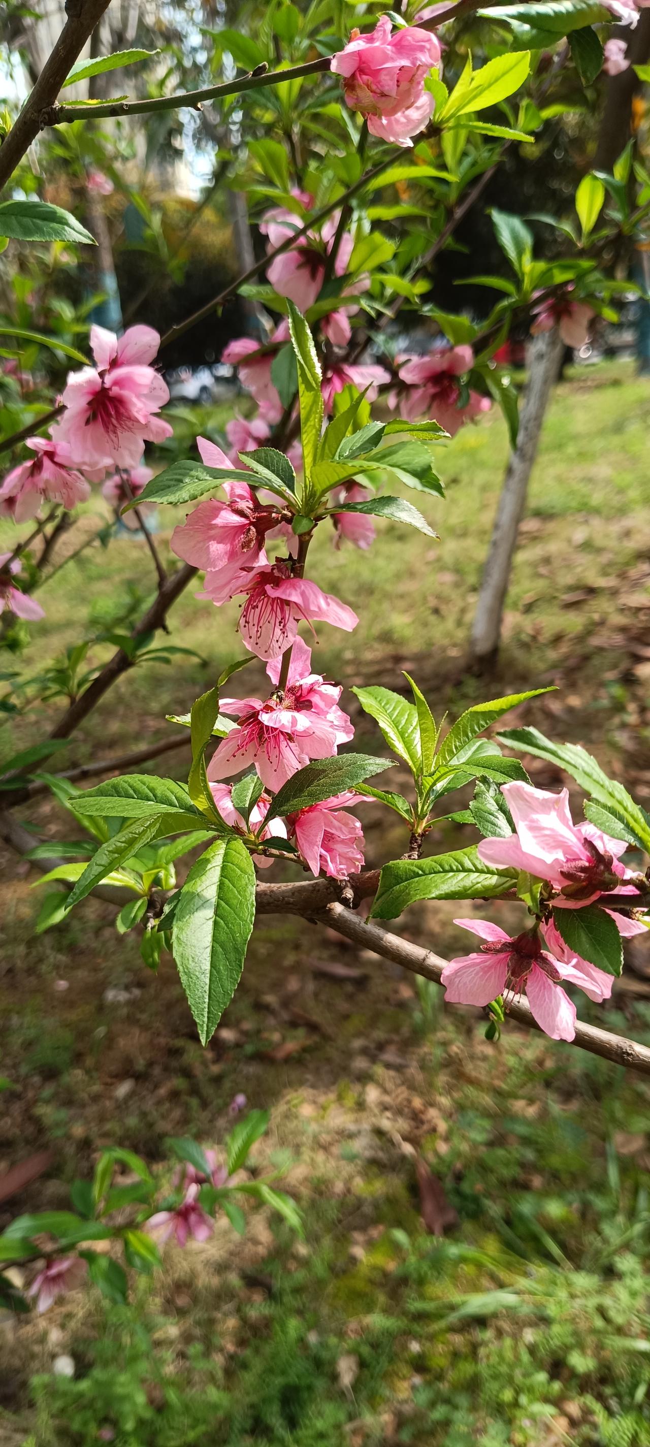 现在相亲平台骗局真是防不胜防！长沙胡女士在“父母牵线”小程序上帮女儿相亲，结识自