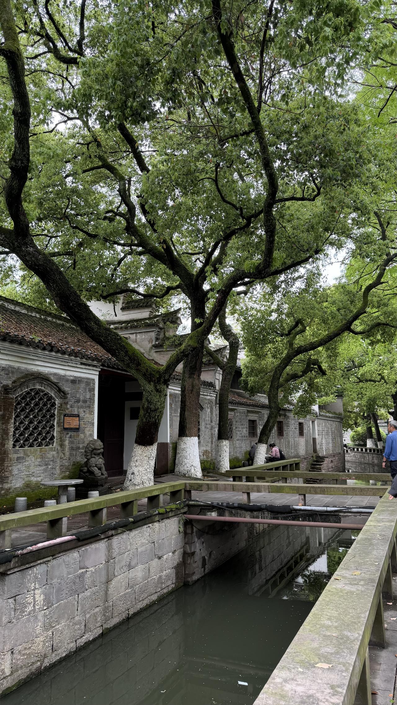 春天散步随拍脑膜瘤手术后第二十天，除了散步以外，已经可以坐地铁、逛公园了。今天与
