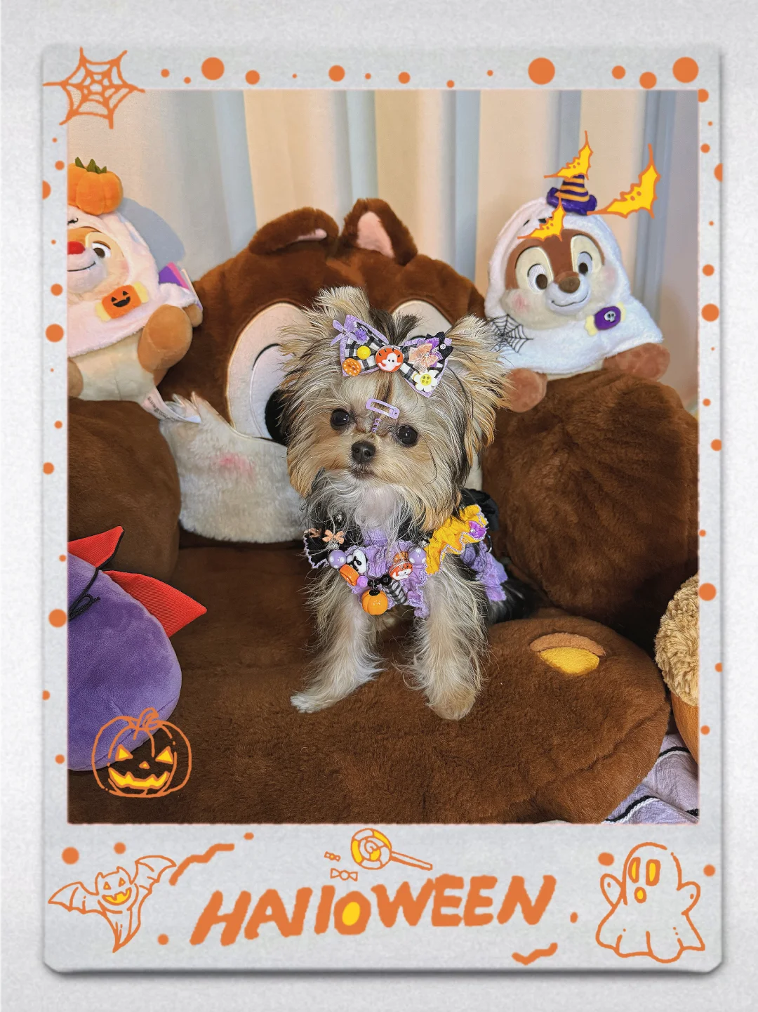 新衣86｜🎃不给糖就捣蛋👻