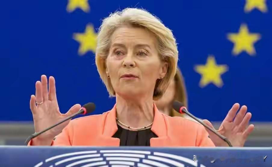 冯德莱恩的“算盘”落空了！欧盟领导人会议，否决了冯德莱恩使用俄罗斯被冻结资产的计
