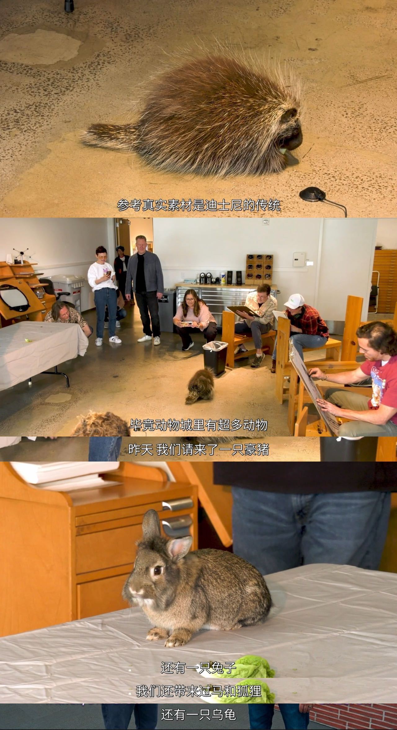 疯狂动物城2细节怪 疯狂动物城2到底还有多少惊喜越看越上头，疯狂动物城2到底还藏