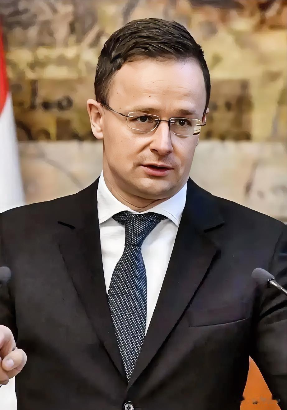 匈牙利宣布

2月16日，匈牙利和斯洛伐克联手给克罗地亚写了封信，求他们帮忙运俄