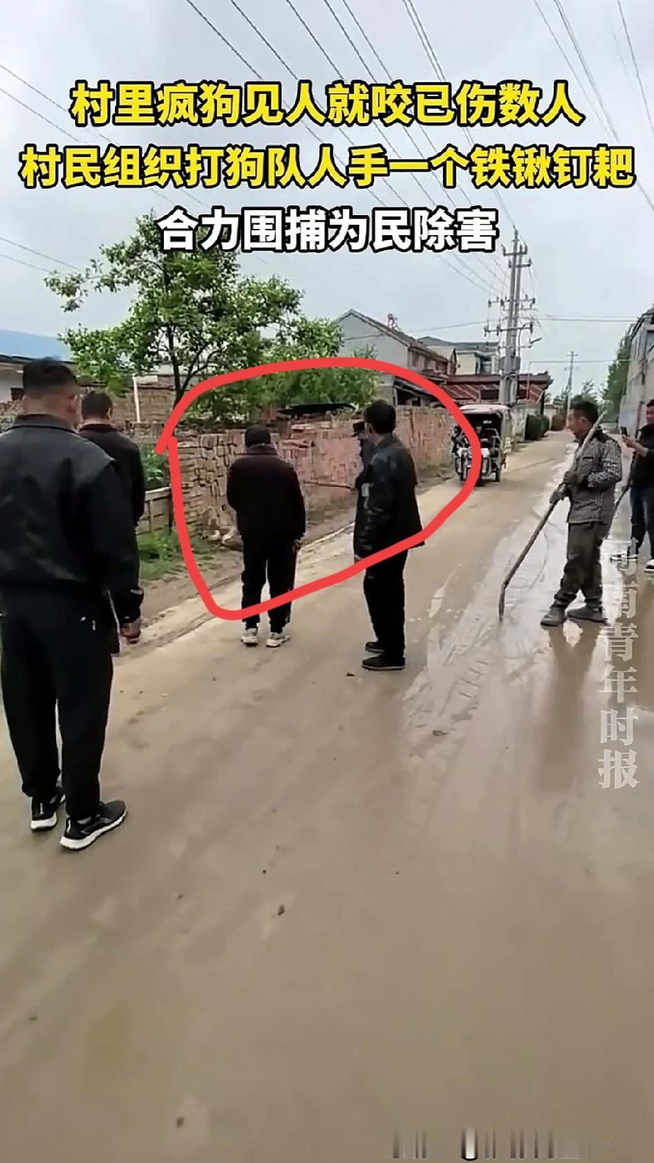 接连看到两件让人揪心的事：

一件在村里，一条疯狗见人就咬，伤了好几个村民，最后