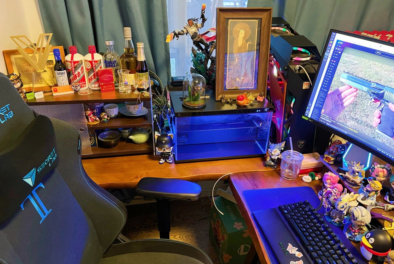 新置办了一个鱼缸