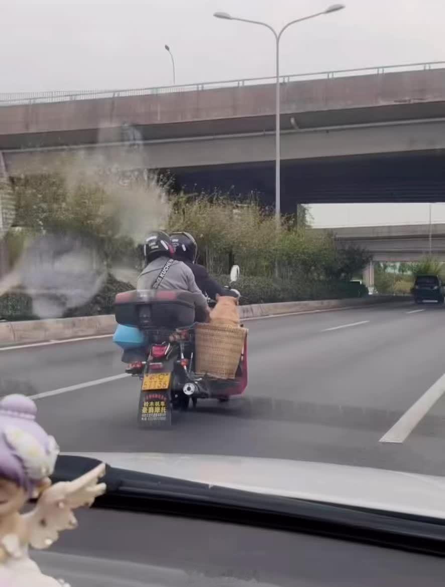 一起回家过年咯 