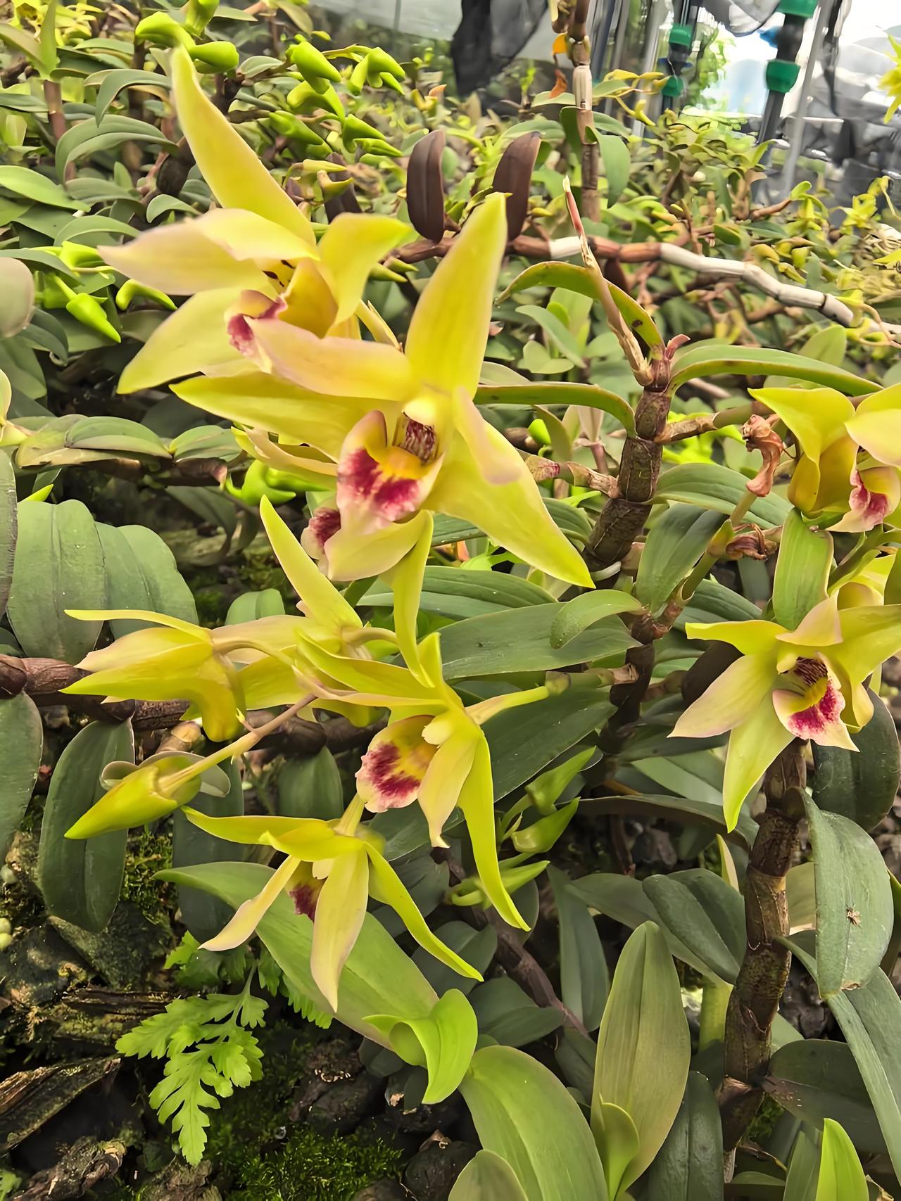 “功夫不负有心人”，这话真是一点不假。在生活里，无数人用行动证明了它。就说运动员