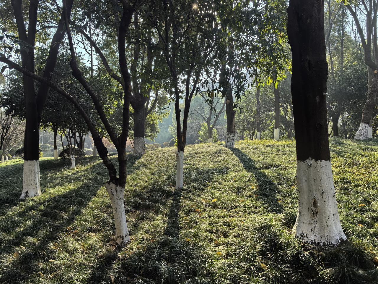 【热评】师道尊严难道就可以把学生的尊严按在地上？
媒体：把学生按在地上剪发是什么