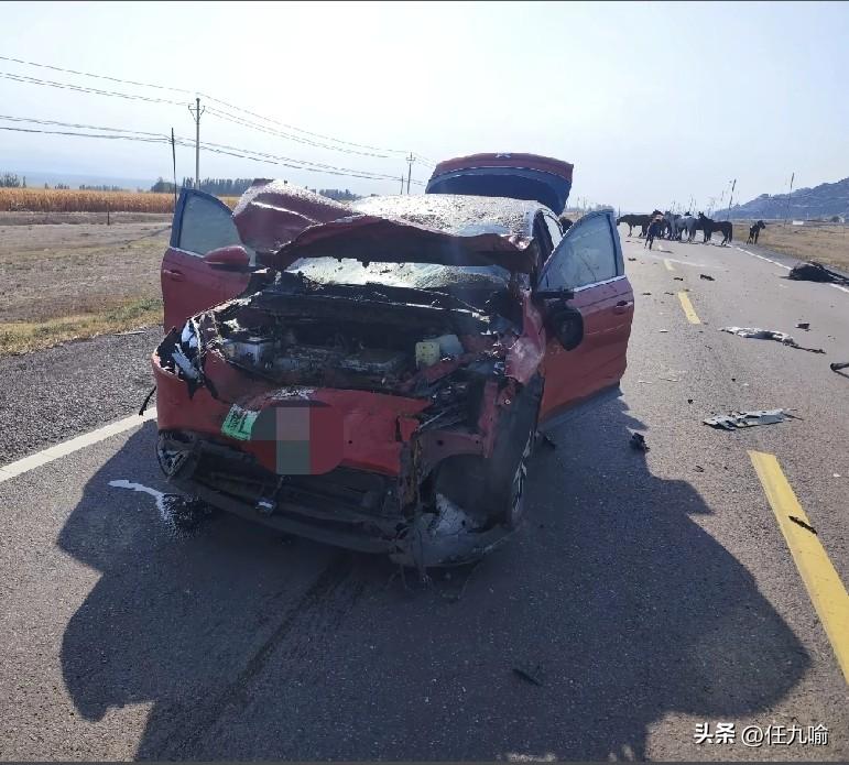 新疆，男子自驾游开辅助驾驶撞死6匹马，他只买了交强险，又要修车还要赔马。男子觉得