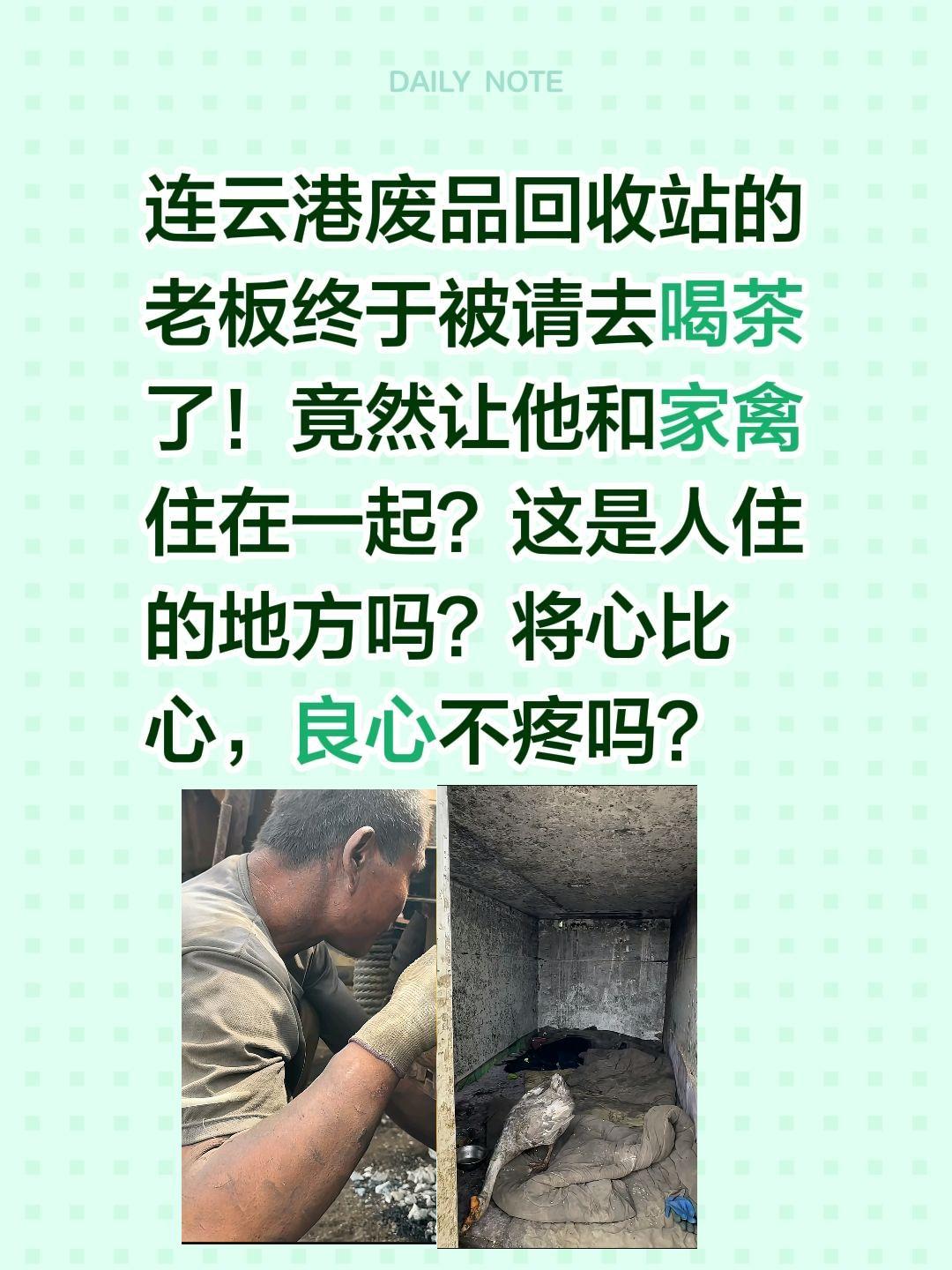 将心比心，怎么可以让他和家禽住一起？连云港废品回收站的老板终于被请去喝茶了！
让