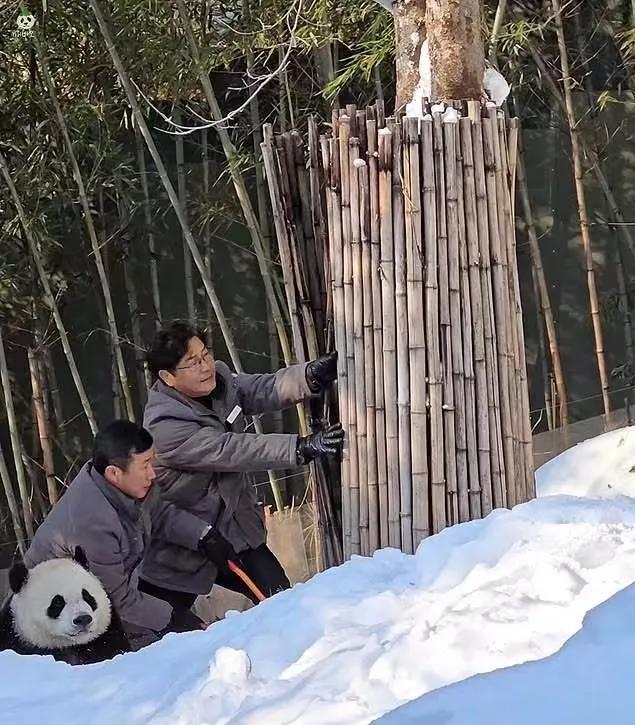 辉宝的面部表情管理的好好哟！光军那位置真像P上去的，真的看一次笑一次！

我想这