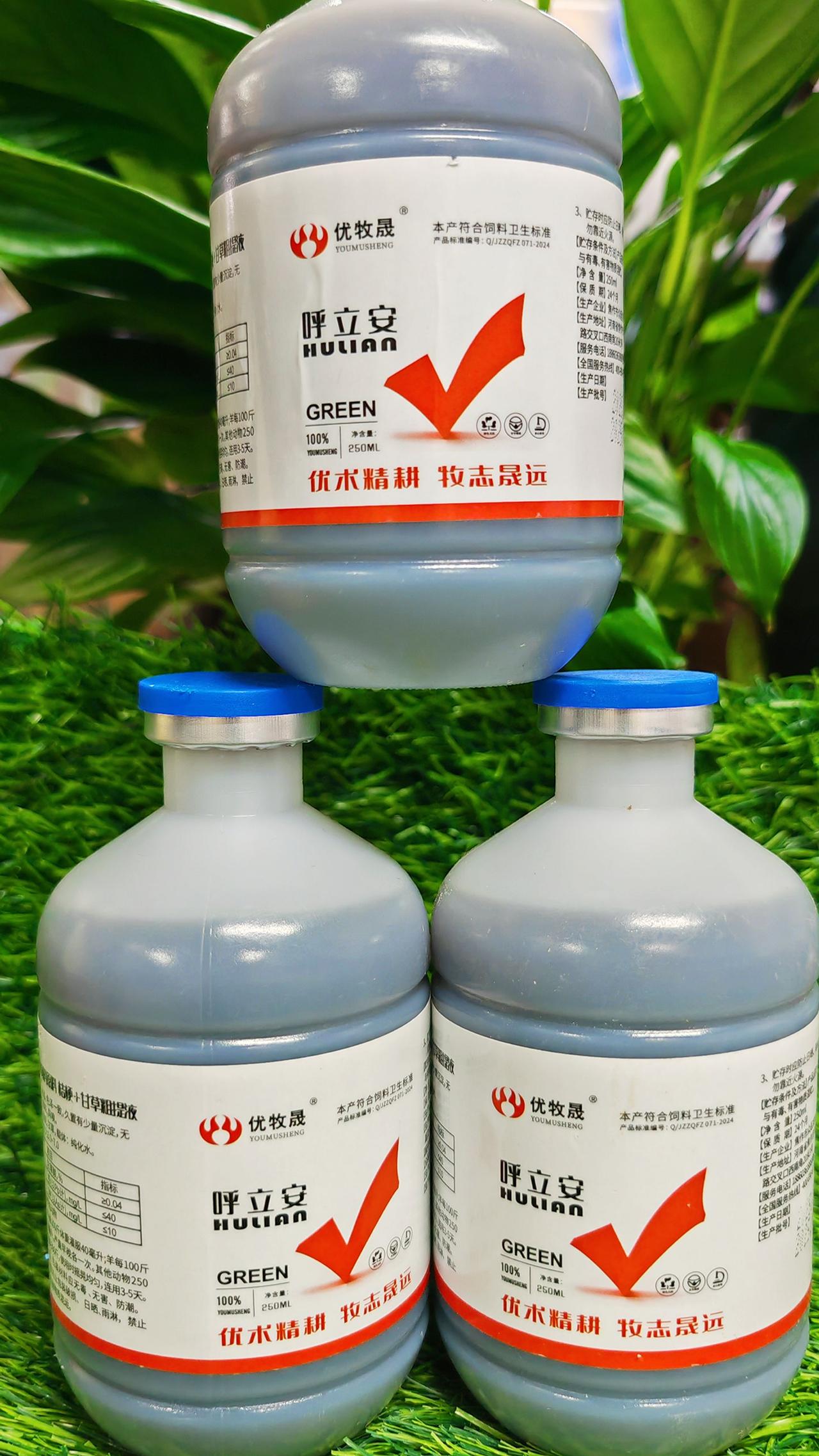 养羊人 农村养羊养牛