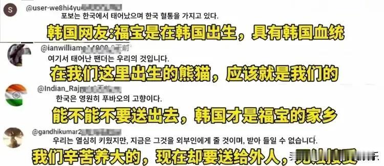 福宝回家明明是件开心事儿，可有些评论区哇声一片，这是被韩国网友和福宝饲养员的眼泪