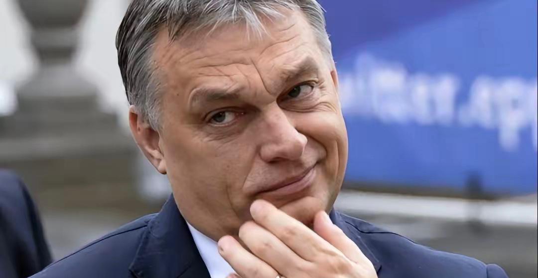 本月27日，匈牙利总理欧尔班于视频中对外披露一劲爆消息：本月一批涉乌克兰资产的调