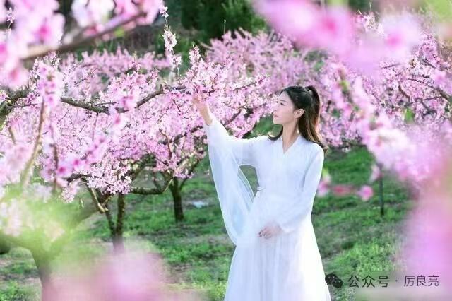 忆秦娥·春思 
风烟阔，
晓岸孤亭青眼阔。
青眼阔，
红英零落，
春色初歇。
 