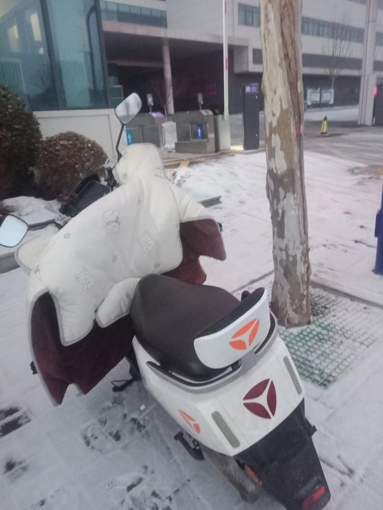 网友们，你们帮我分析一下，这样的亲情还需要维持吗？

婆婆一直被背后骂我，然后当