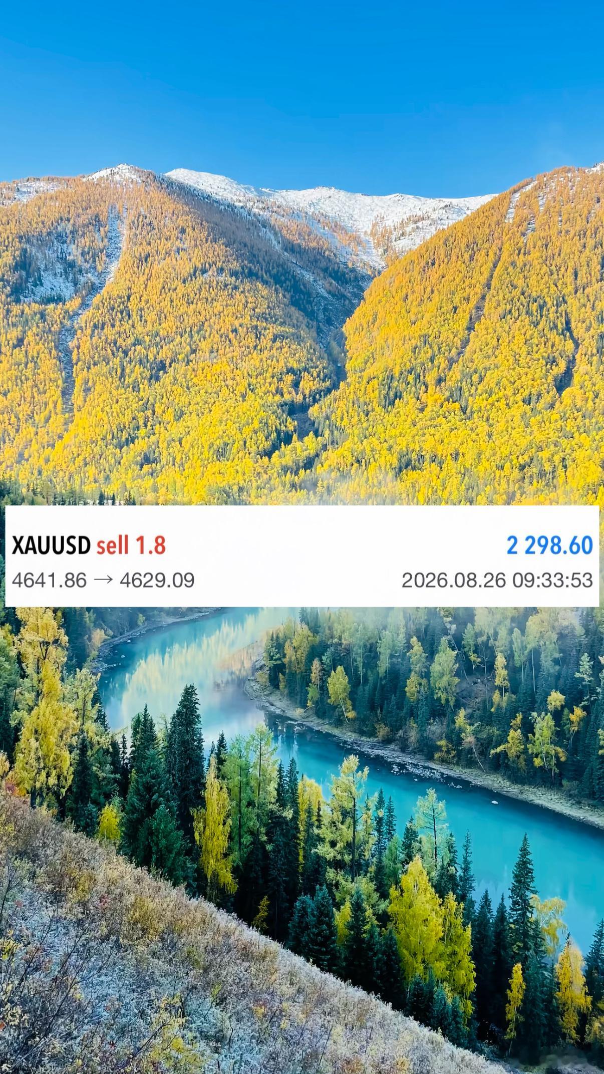 刘先生日内番苍第三弹箜丹布局12典，2298u洛带！！ ​​​