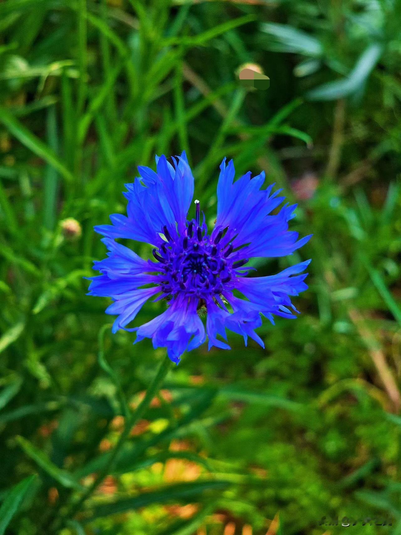 【小对联】
上：点眼药；
下：……？