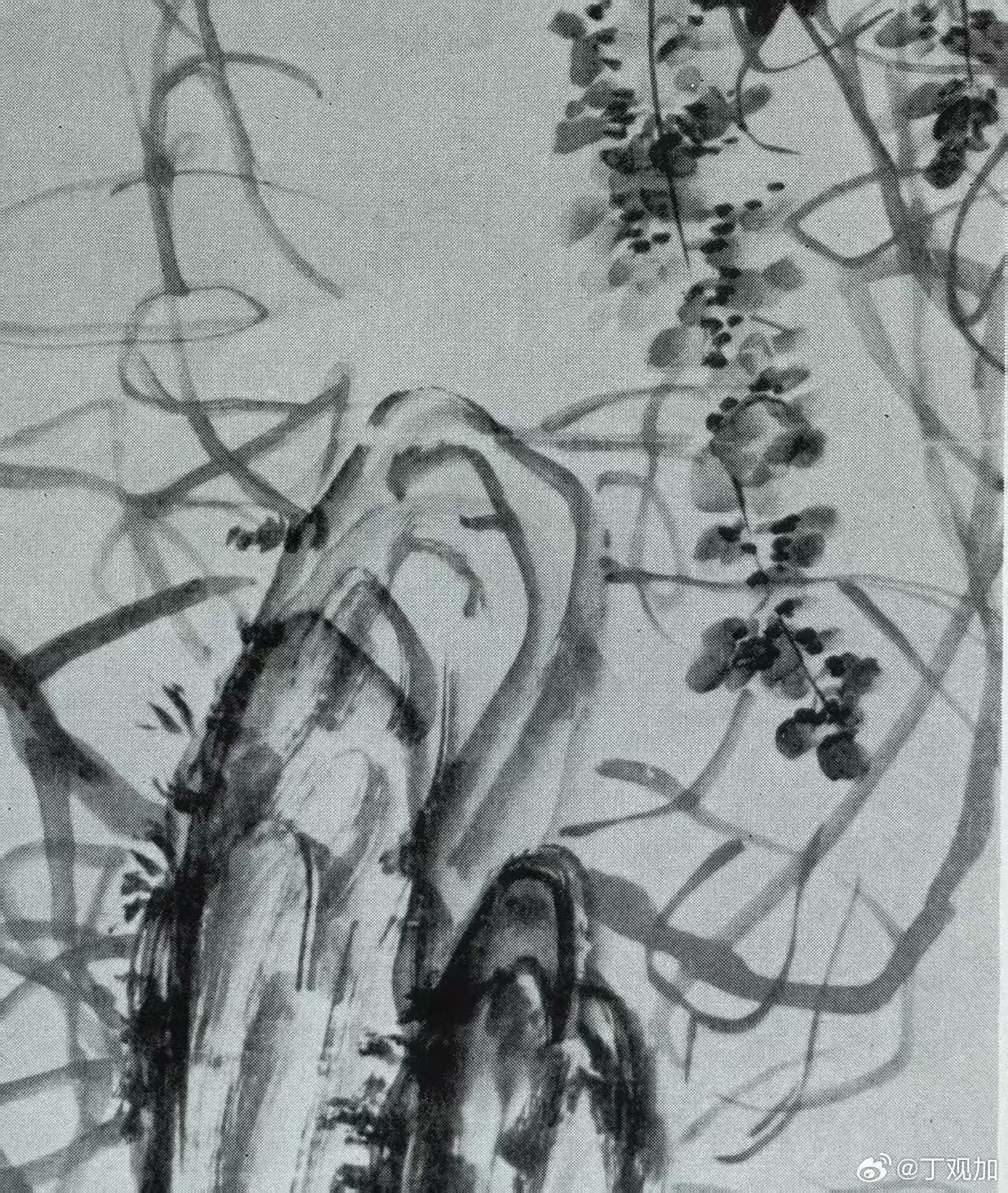 .中国画艺术核心~审美境界一个字：写中国画是写意非写实中国水墨画亦然是心象的可视