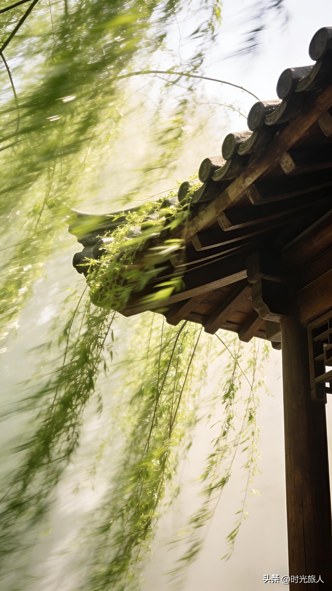 刚才在院子里晒衣服，一阵风卷着杨絮扑过来，落在我刚写了半行的宣纸上。盯着那团白絮