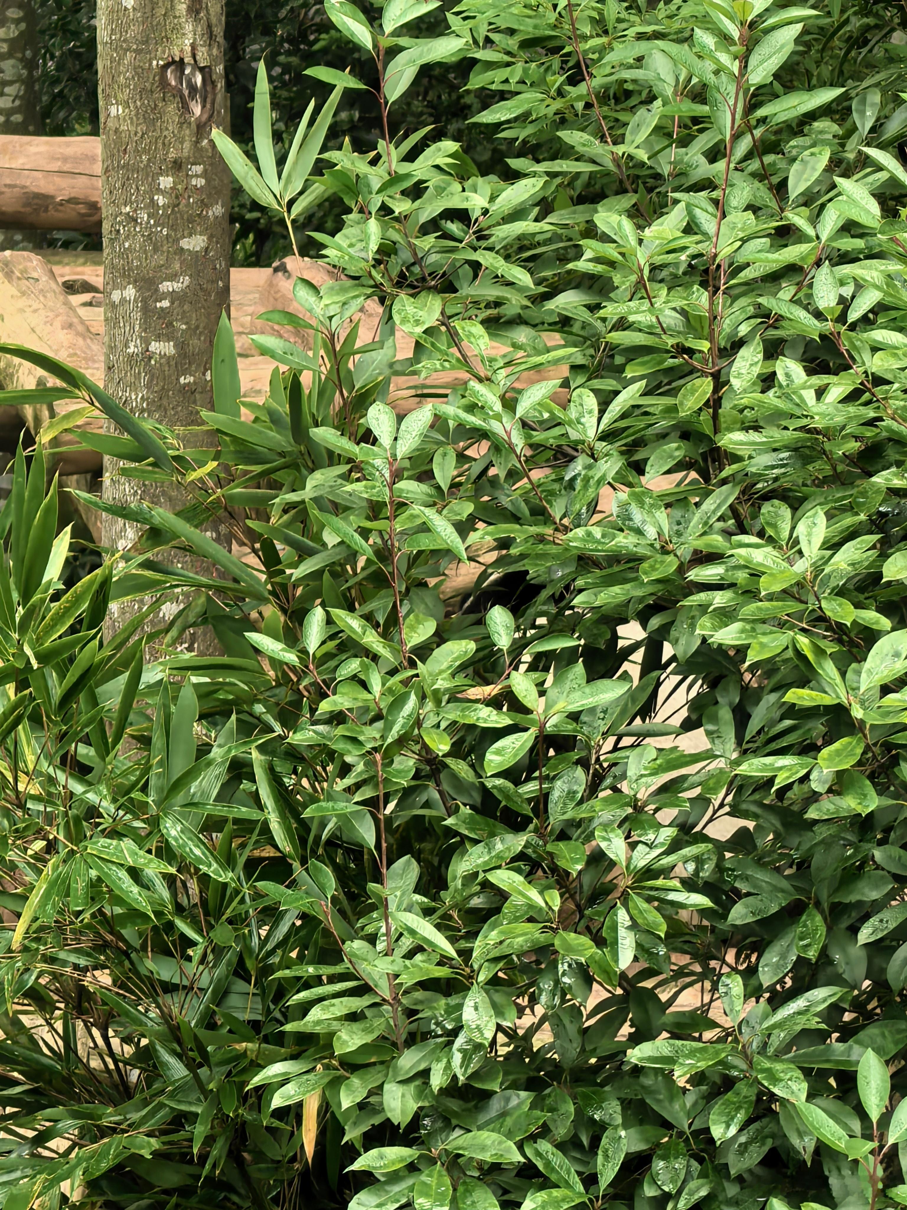 家欣和文静。 ​​​