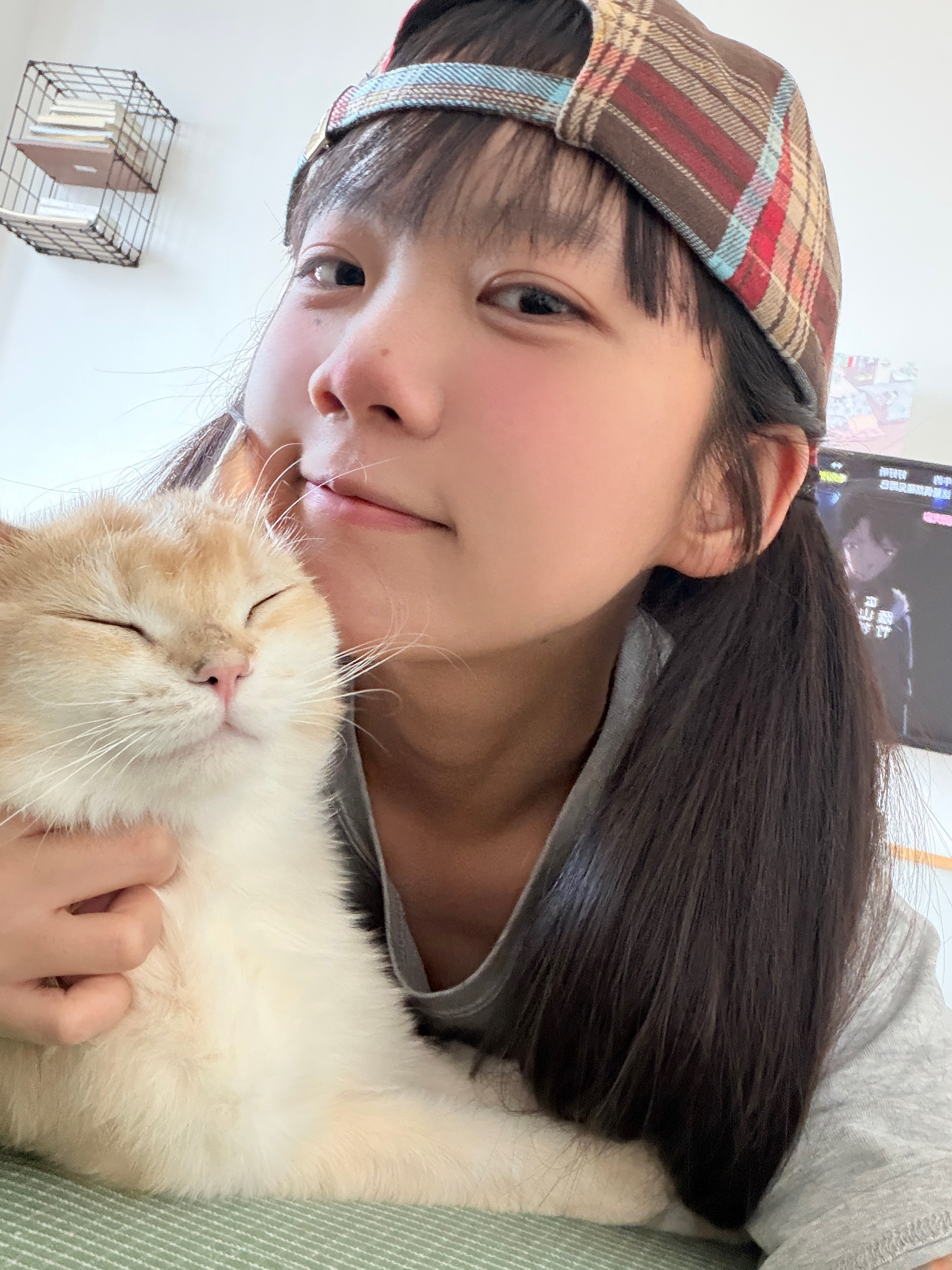 猫 