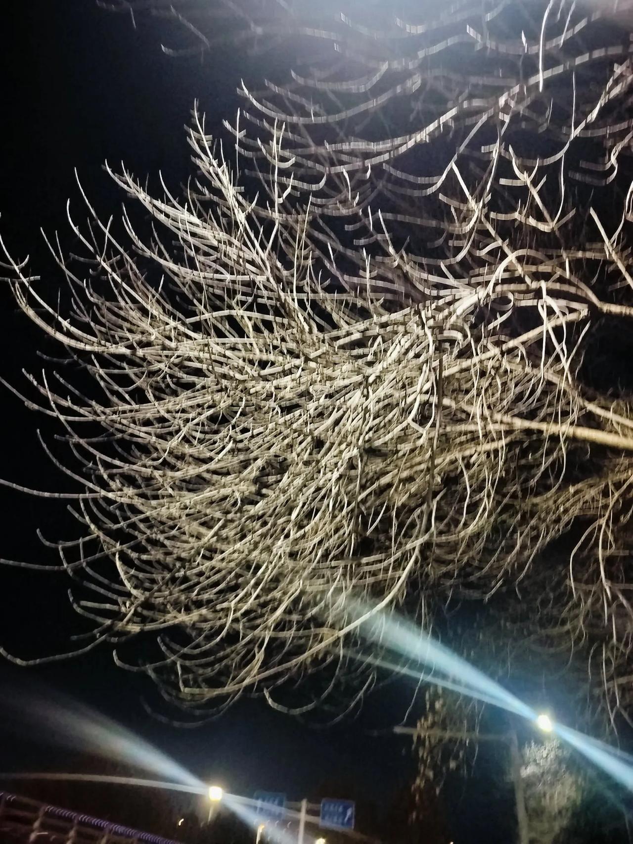 美丽的夜景图谁有，分享一下吧