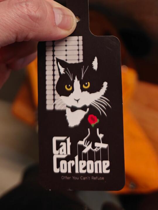 Please call me Cat Corleone