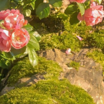 每日一善  ☀️ 每日一善  ☀️ 阳光信用 生命中总会遇到或多或少的问题，很多