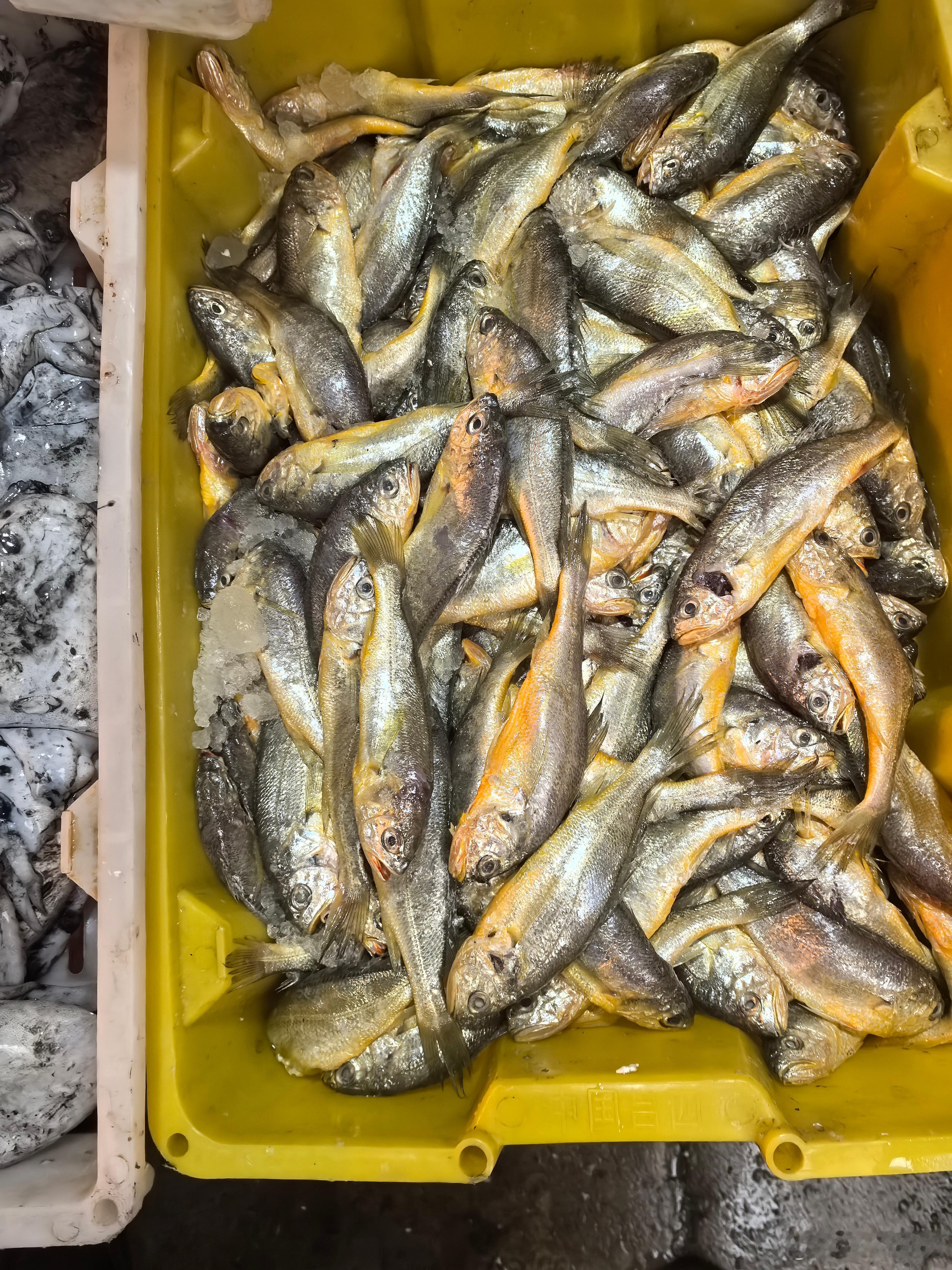 李爷减肥计划  人间烟火气  早六点的菜市场。小黄真不错，买二斤，一斤煎着吃，一