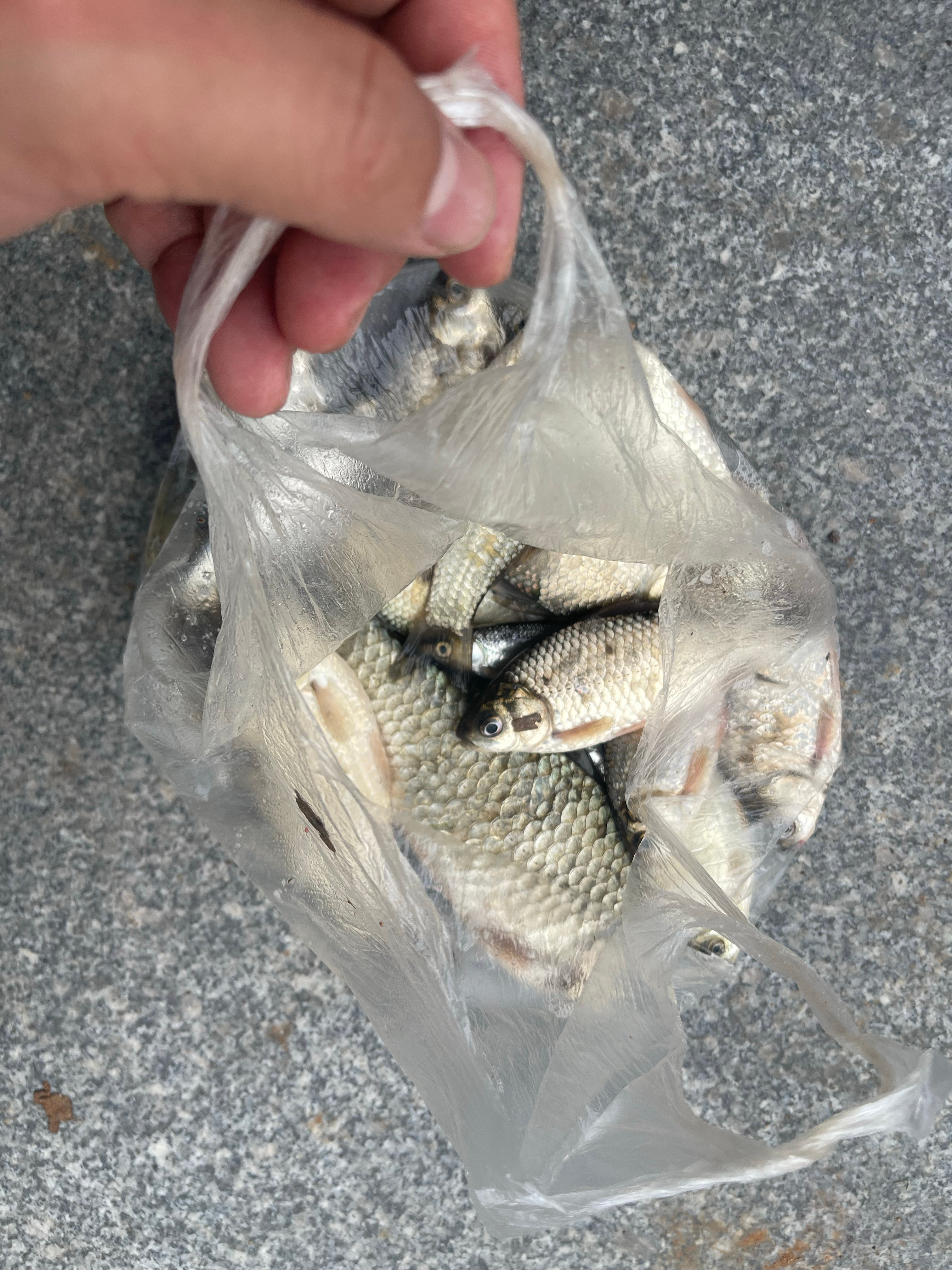 钓鱼真的是全民健身运动，隔壁的老阿姨，自从迷恋上钓鱼身体好后，吃嘛嘛香，腰不酸腿