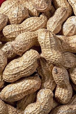 花生🥜的果实，
结在了土地里。

我创过花生地，
成串串在土里。