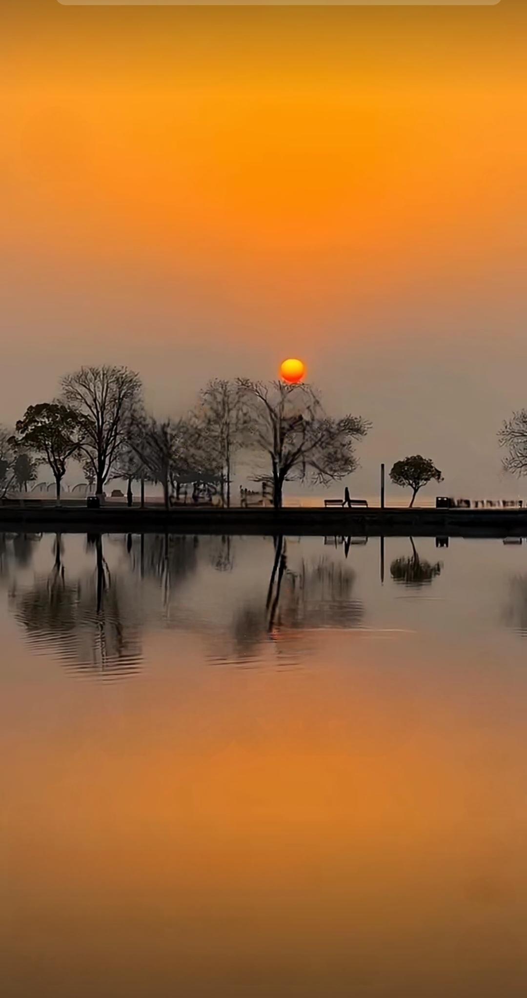 我与苍天有何仇，频将风雨落孤舟。
半生漂泊霜侵鬓，一事无成泪暗流。
病里慈亲添白
