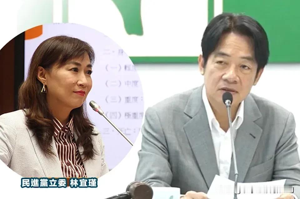 民进党立委林宜瑾又来搞事！公然提案修改“两岸人民关系条例”，妄图把两岸关系歪曲成