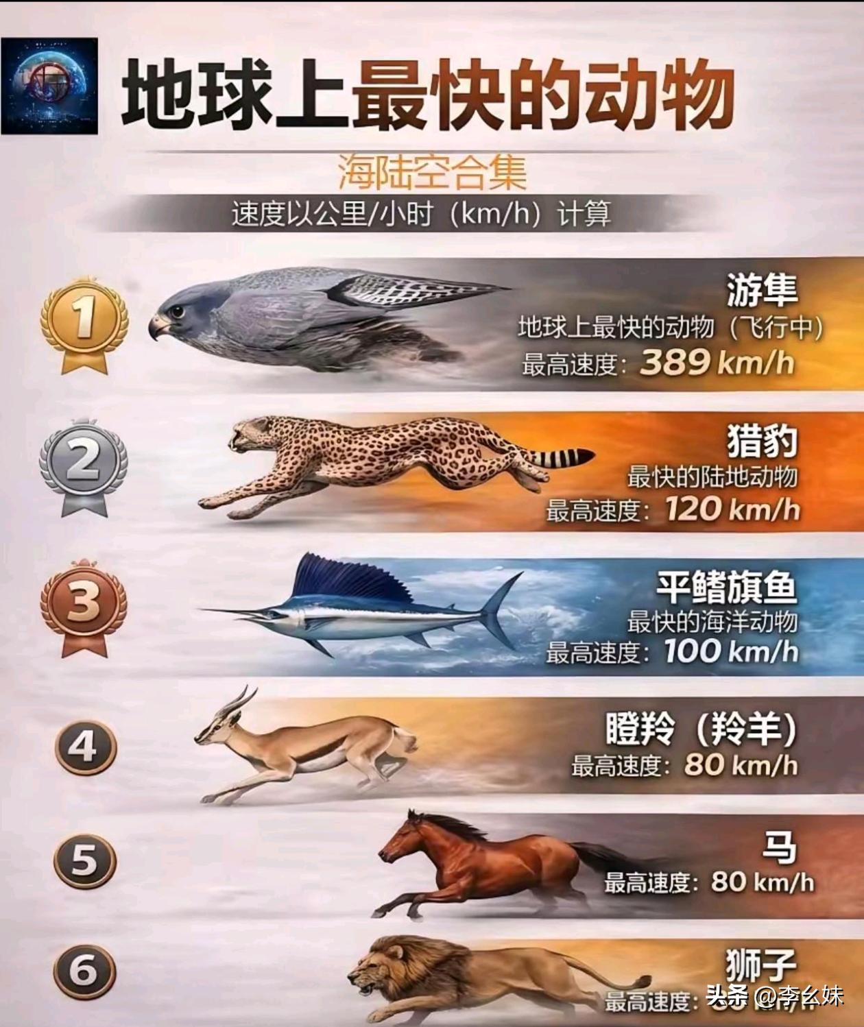 还有比这个更快的吗