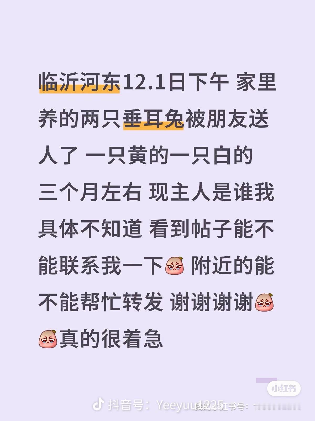 临沂河东12.1日下午谁收到了这位姐妹的两只三个月大垂耳兔将心比心，请联系这位着