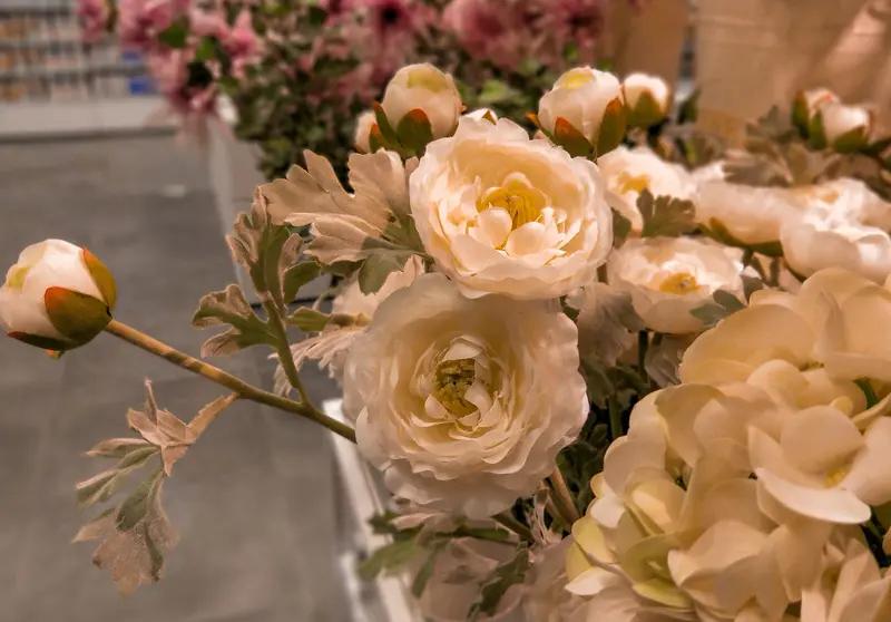 12月24日云南西双版纳，老太太将花店花折断，店家要求老人买走整棵，老人拒绝。老