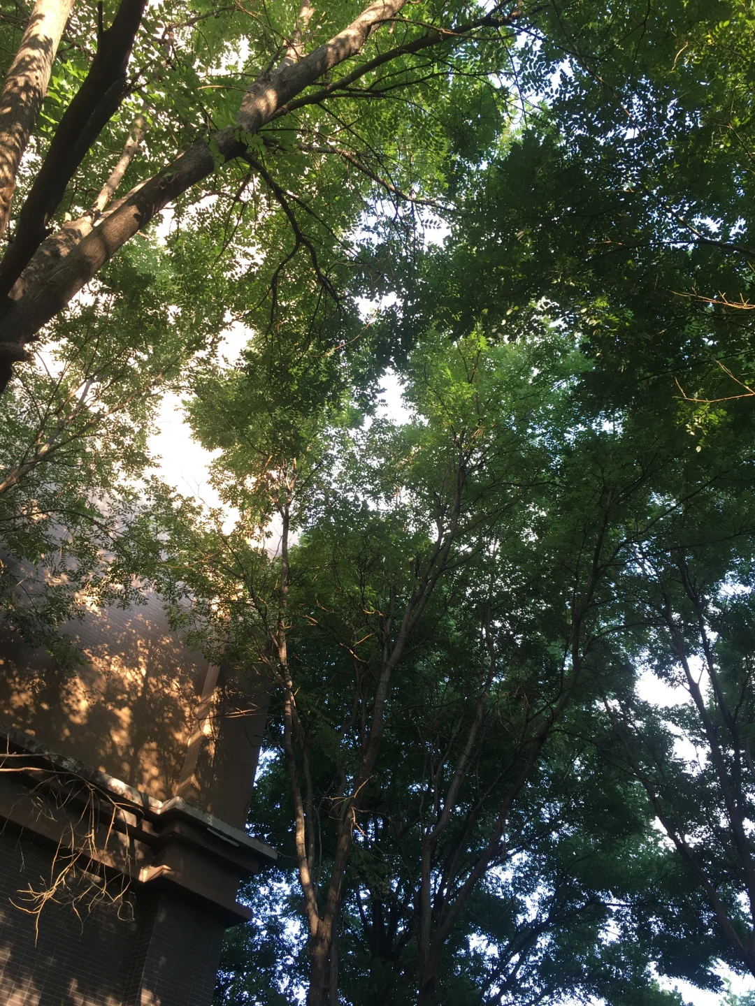 我在过一种“极端”的生活。