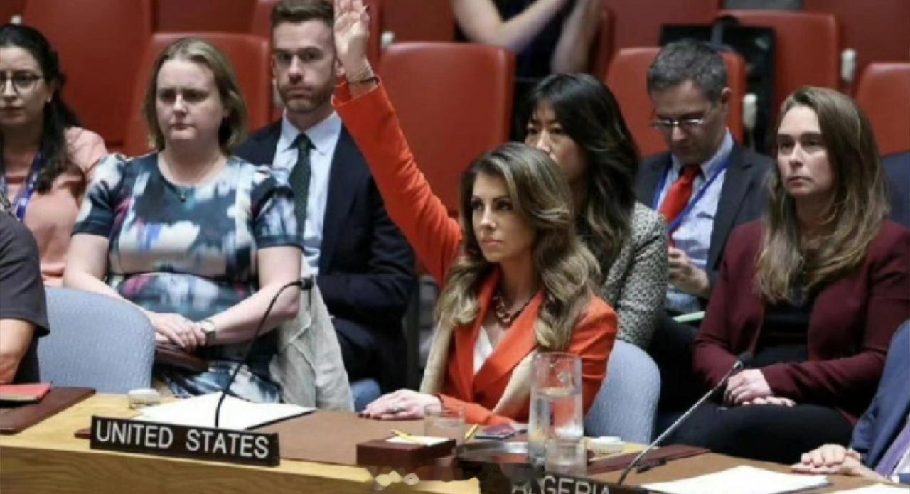 家人们，大半夜又被美国气到了！今天凌晨，联合国安理会为了加沙停火的事儿又开了个会