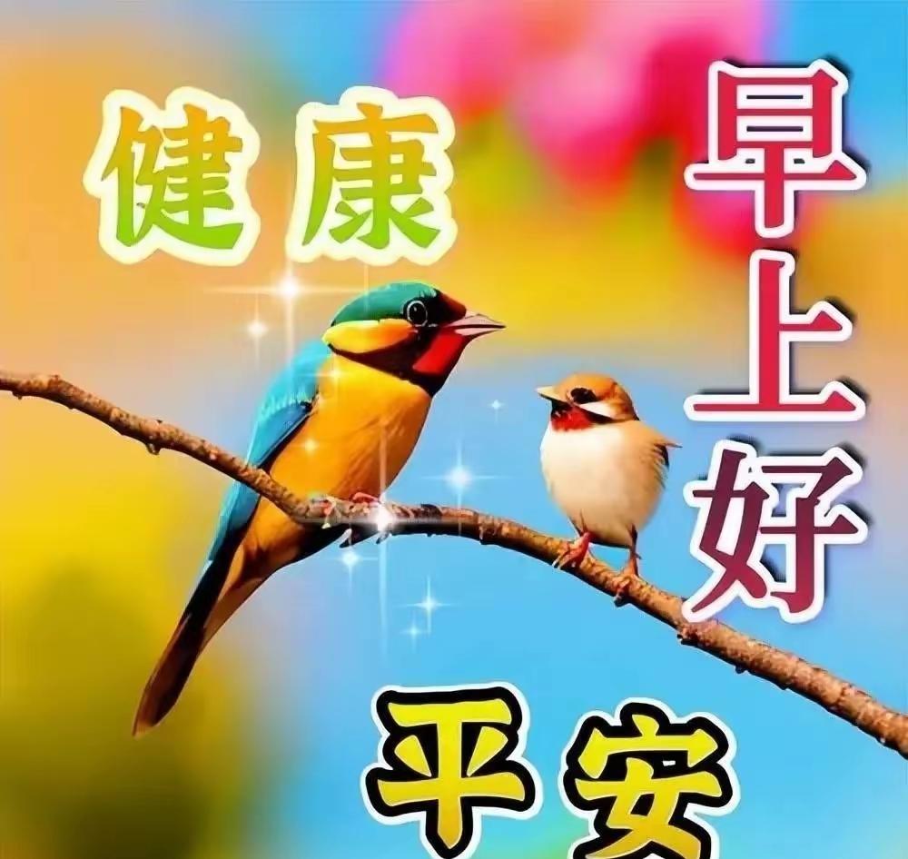 马年新的一周，从元气满满的周一开始啦！特别感谢一直陪伴在身边的粉丝朋友们和友友们