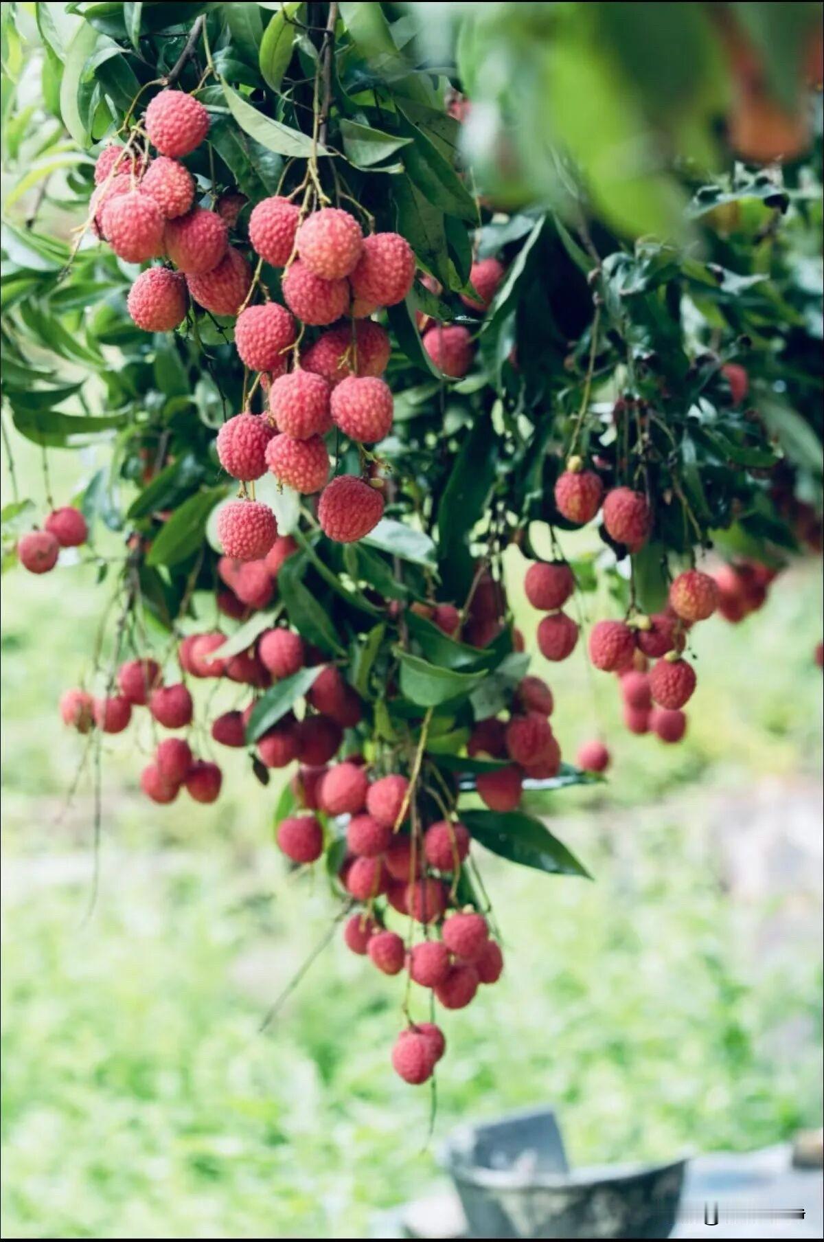 🍎²º²⁶/₀₆.₀₄ᵕ̈ᵕ̈🐎🍃🌻🍒🍬
🍃𝐆𝐨𝐨𝐝 𝐌