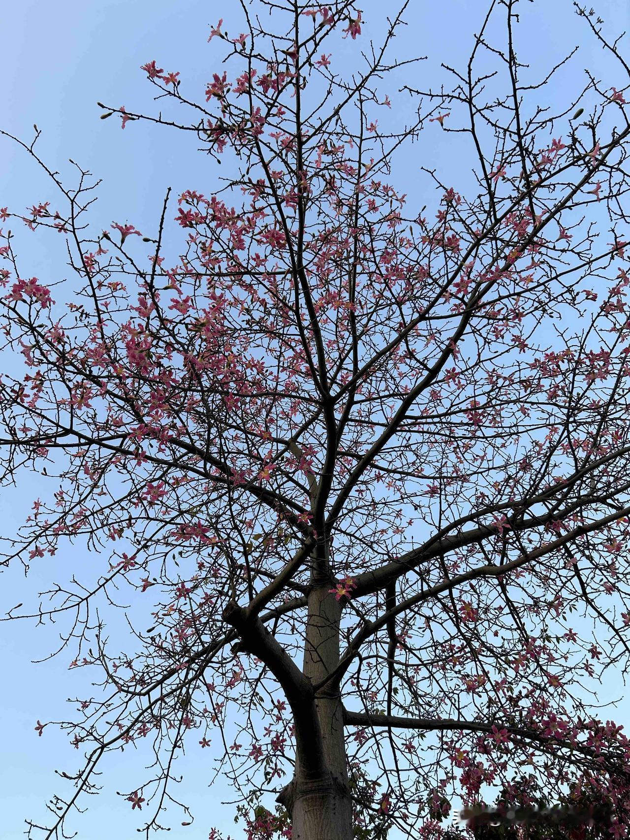 文王拘而演周易，仲尼厄而作春秋！

一个人只有人生跌到了低谷的时候，

人才会幡