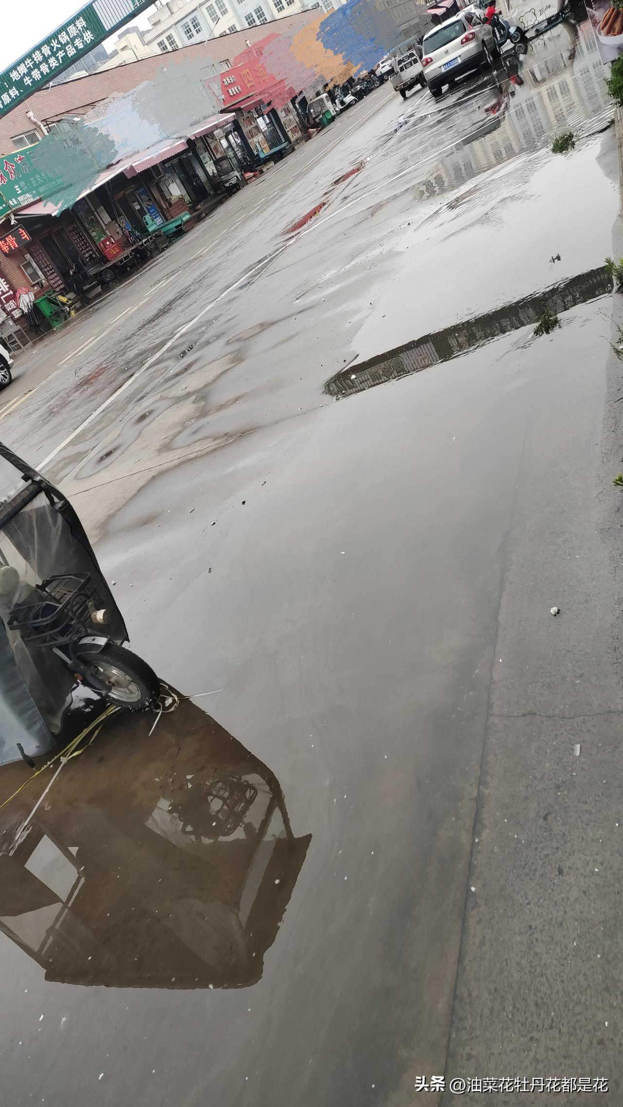 昨晚11点后才睡，太困了。快睡着时听到窗外雨声簌簌，心想终于下雨了。
早上雨已停