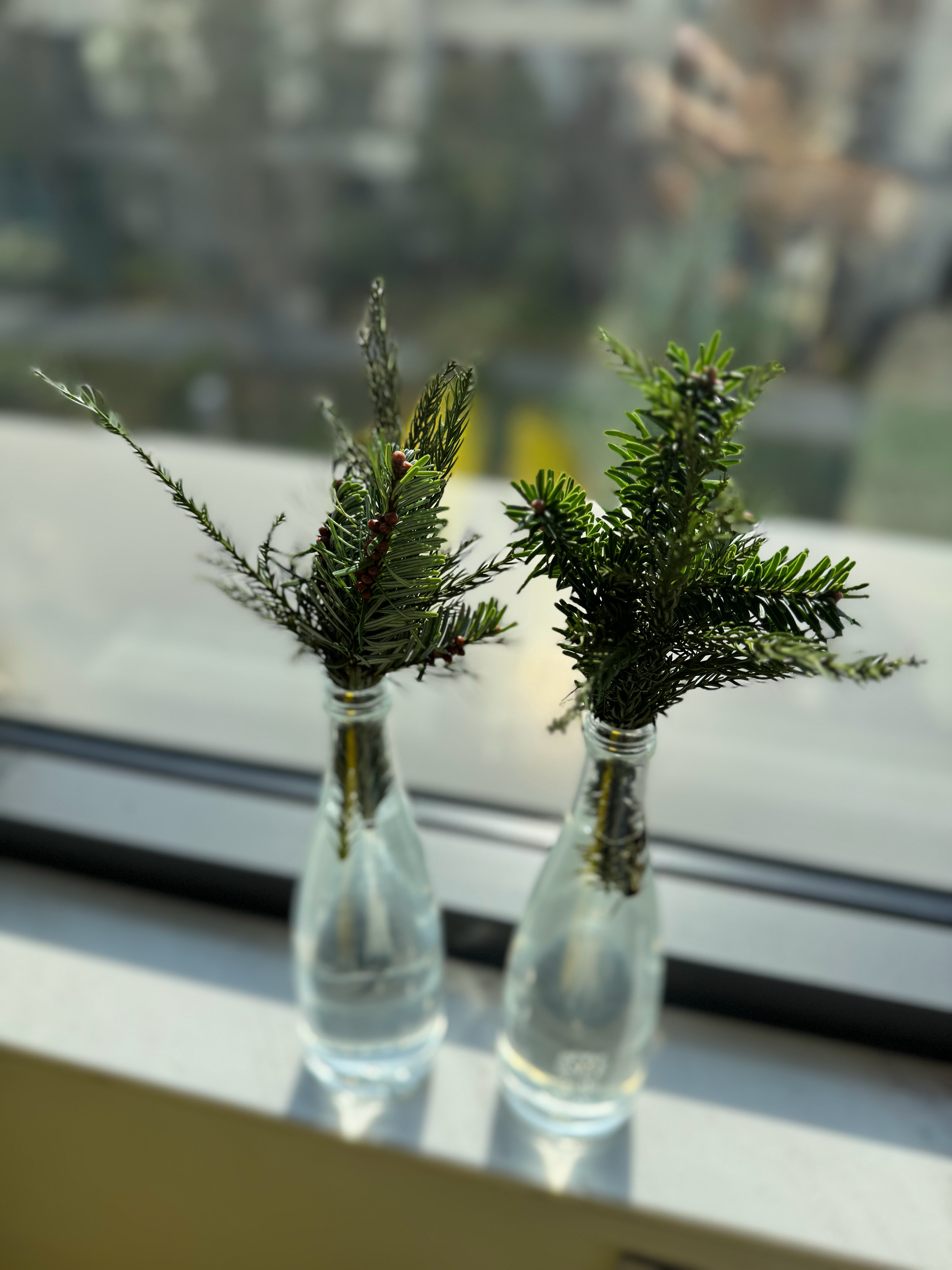 软装小天才上线、我自制🎄 