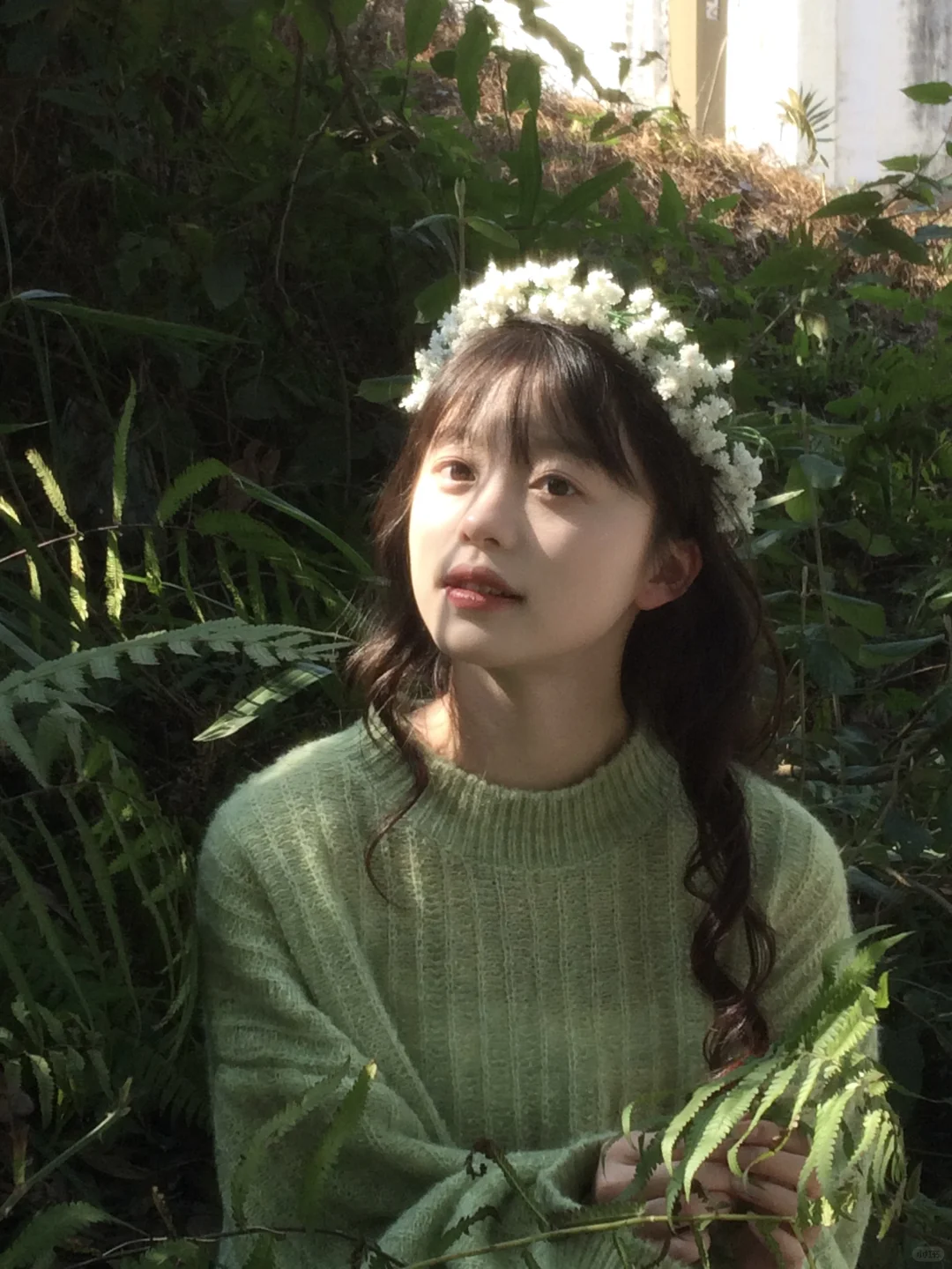 森林的尽头是散落的光