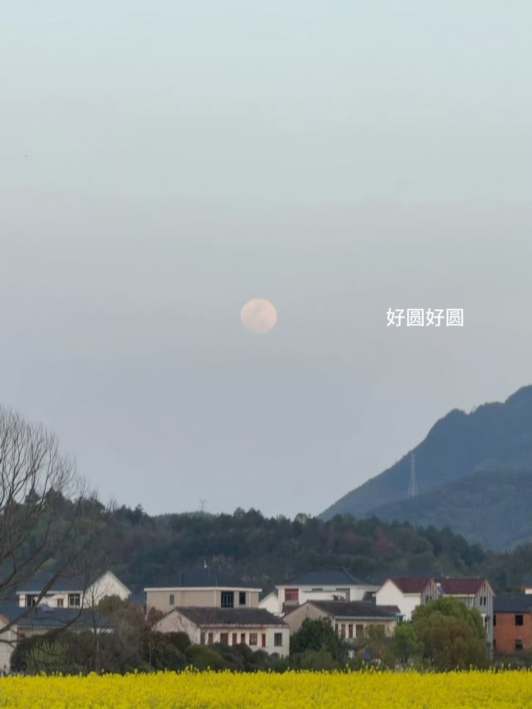 吴磊被老鼠干整没招了吴磊日常9宫格live真的活人感满满近期结算画面满满的都是生