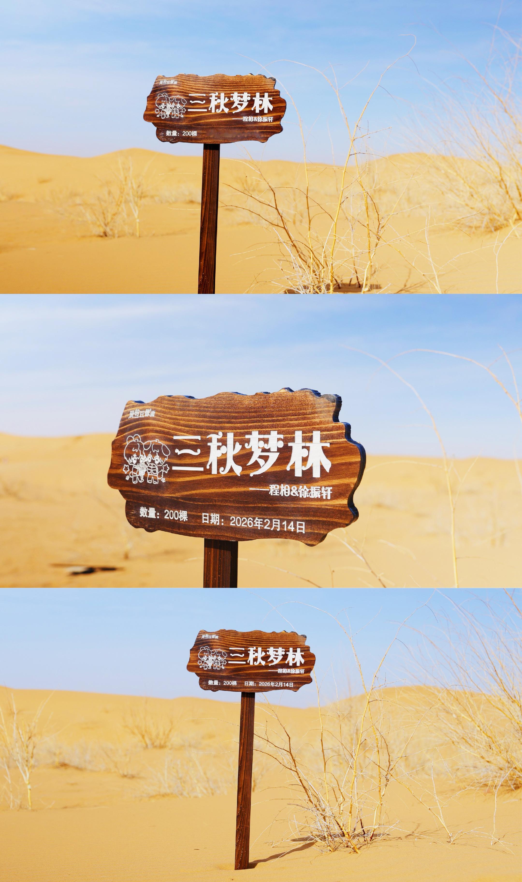 梦相成振情人节公益应援 程相徐振轩cp粉做的情人节公益应援，返图展示，在腾格里拉