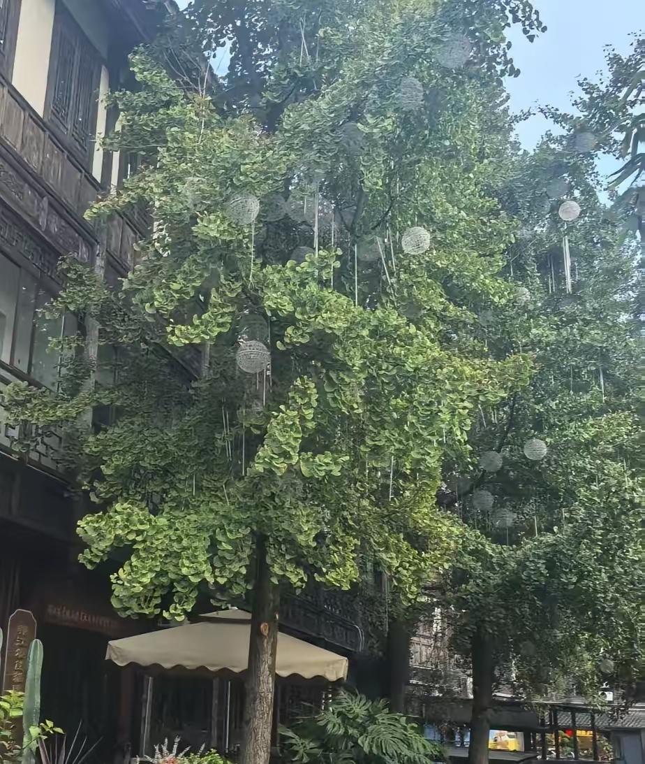 同楼栋邻居的这件事，看完让人唏嘘。男人在外找情人，对方怀孕后，他铁了心要离婚。