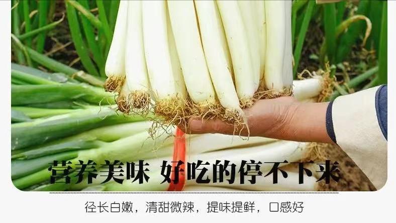 我今年开始频繁网购大葱、黄瓜、苹果、梨、橘子等冬季蔬菜水果，在贵阳实体店铺一斤大