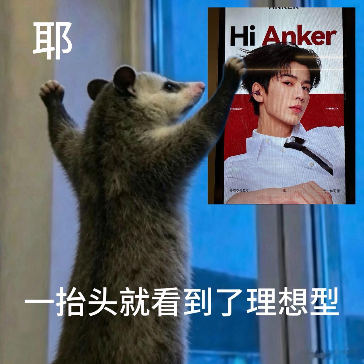 深圳人抬头就是理想型深圳的城市大屏上演浪漫时刻，抬头撞见理想型。品牌和粉丝双向奔
